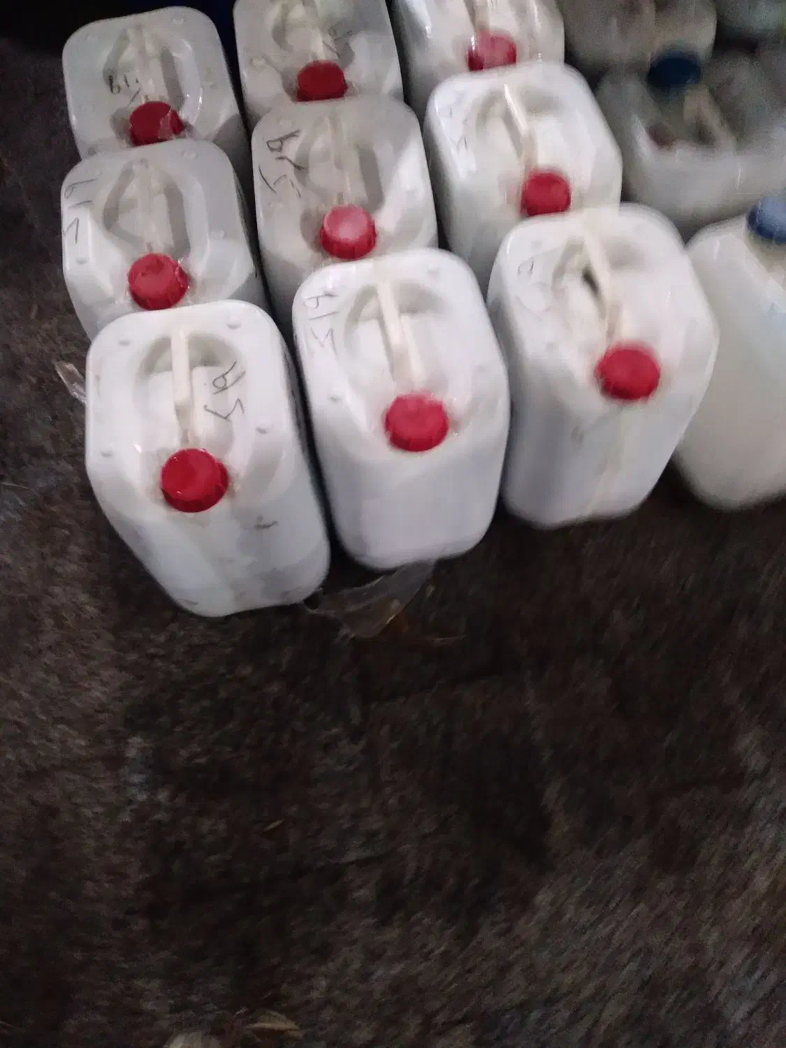 زیتون شکسته کنسروی و حدود یک تن روغن در کارخونه|حراج|طارم (زنجان), |دیوار