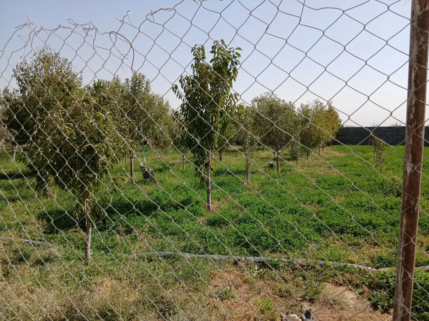 فنس|مصالح و تجهیزات ساختمان|بجنورد, |دیوار