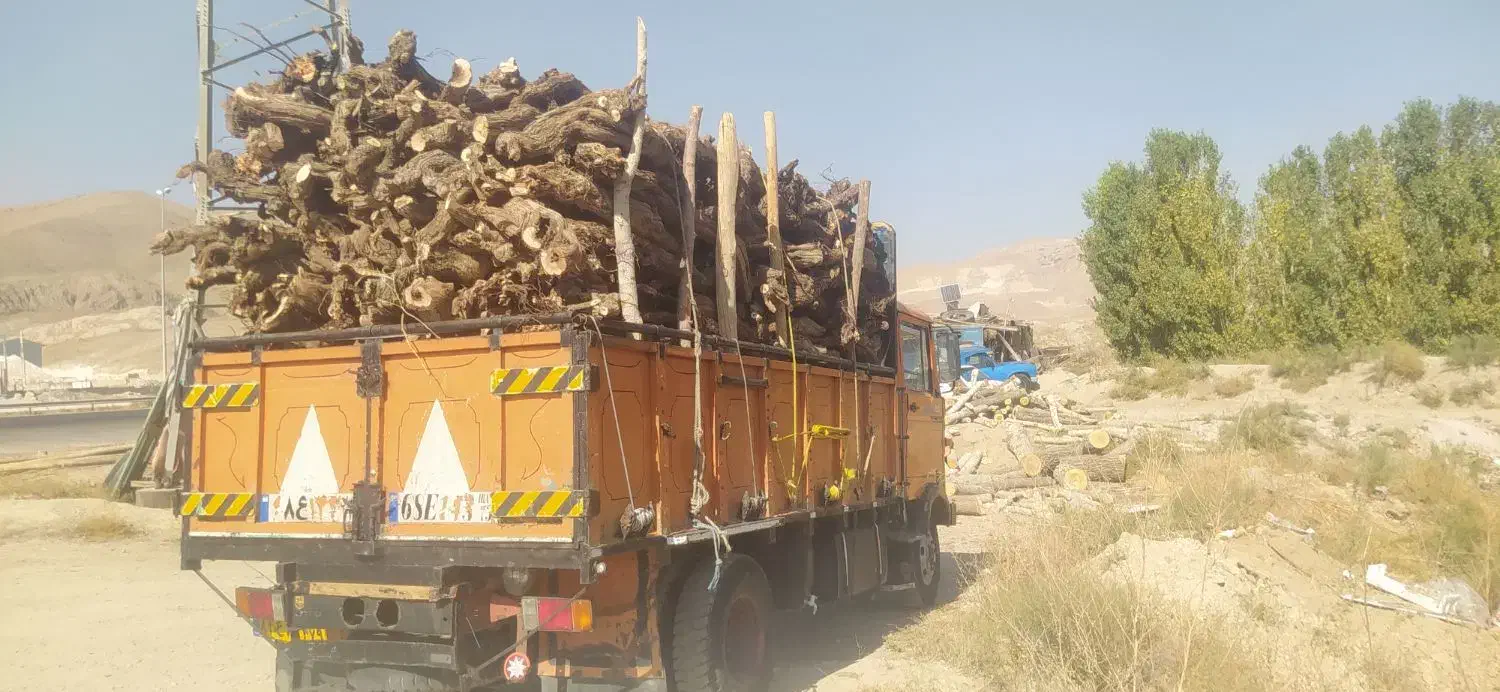 چوب انگور|عمده‌فروشی|ضیاء آباد, |دیوار