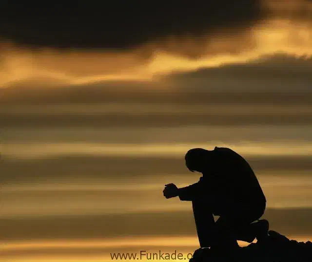 می تونید راهنمای کنید چجوری|فعالیت داوطلبانه|شاهین‌شهر, خبرنگار|دیوار