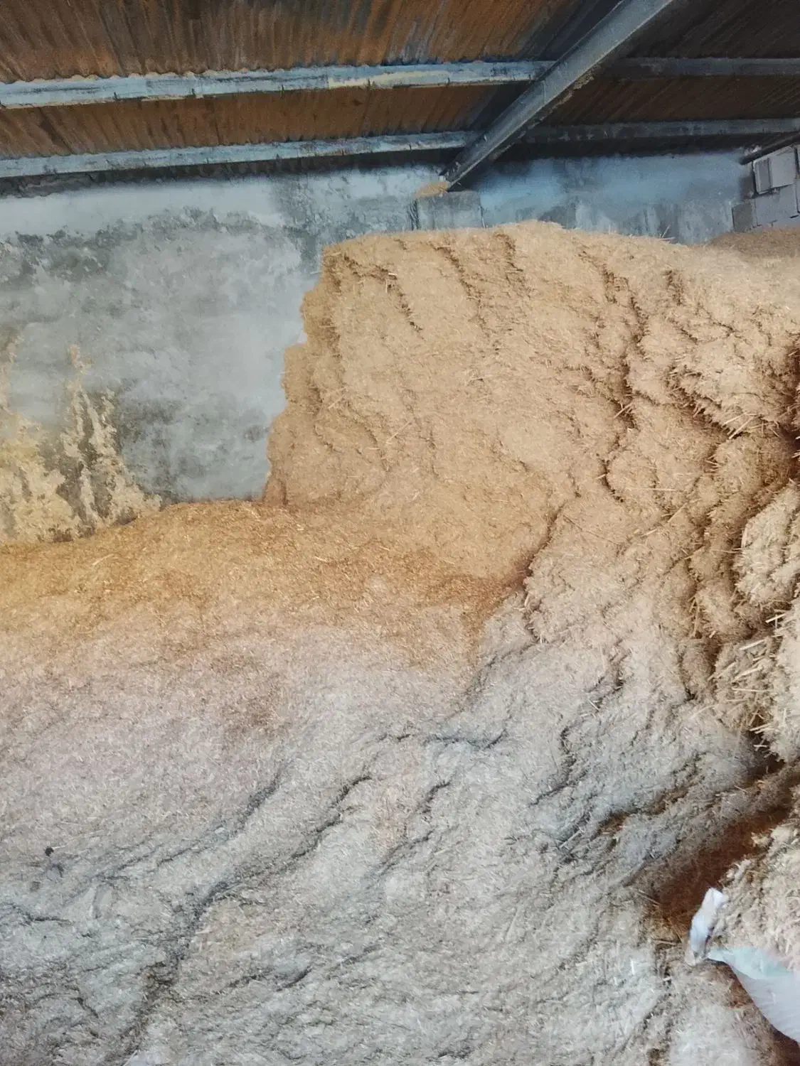 کاه|لوازم جانبی حیوانات|ایذه, |دیوار