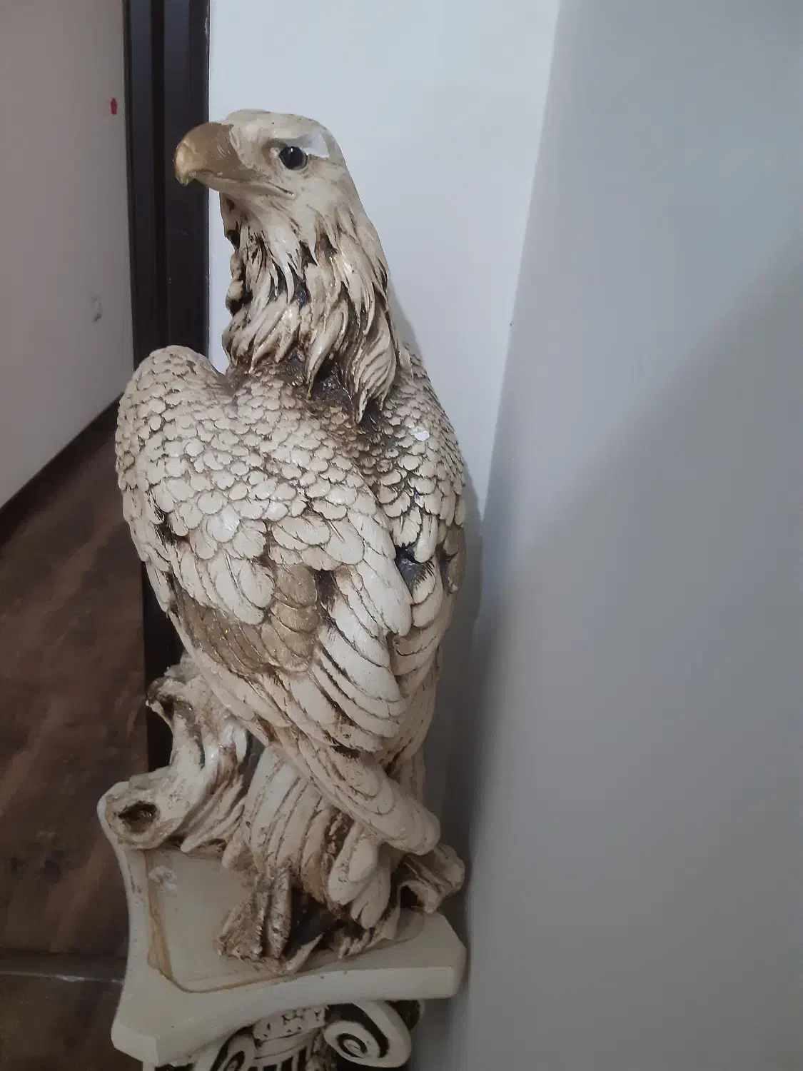پایه گچی به همراه مجسمه عقاب|مجسمه، تندیس، ماکت|رشت, دیلمان|دیوار