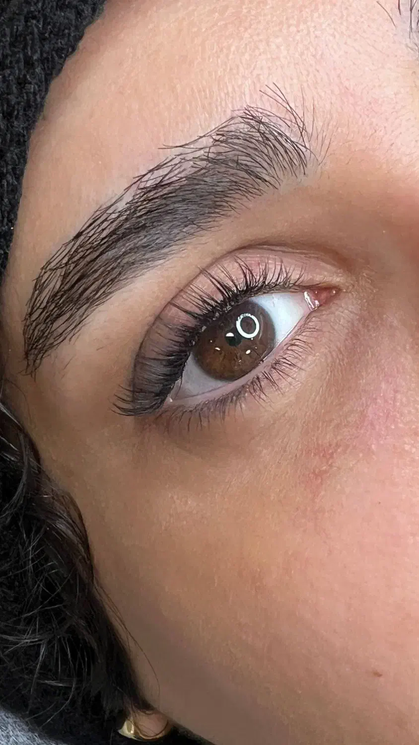 تخفیف اکستنشن مژه ،کاشت مژه،لیفت ابرو|خدمات آرایشگری و زیبایی|تهران, درختی|دیوار