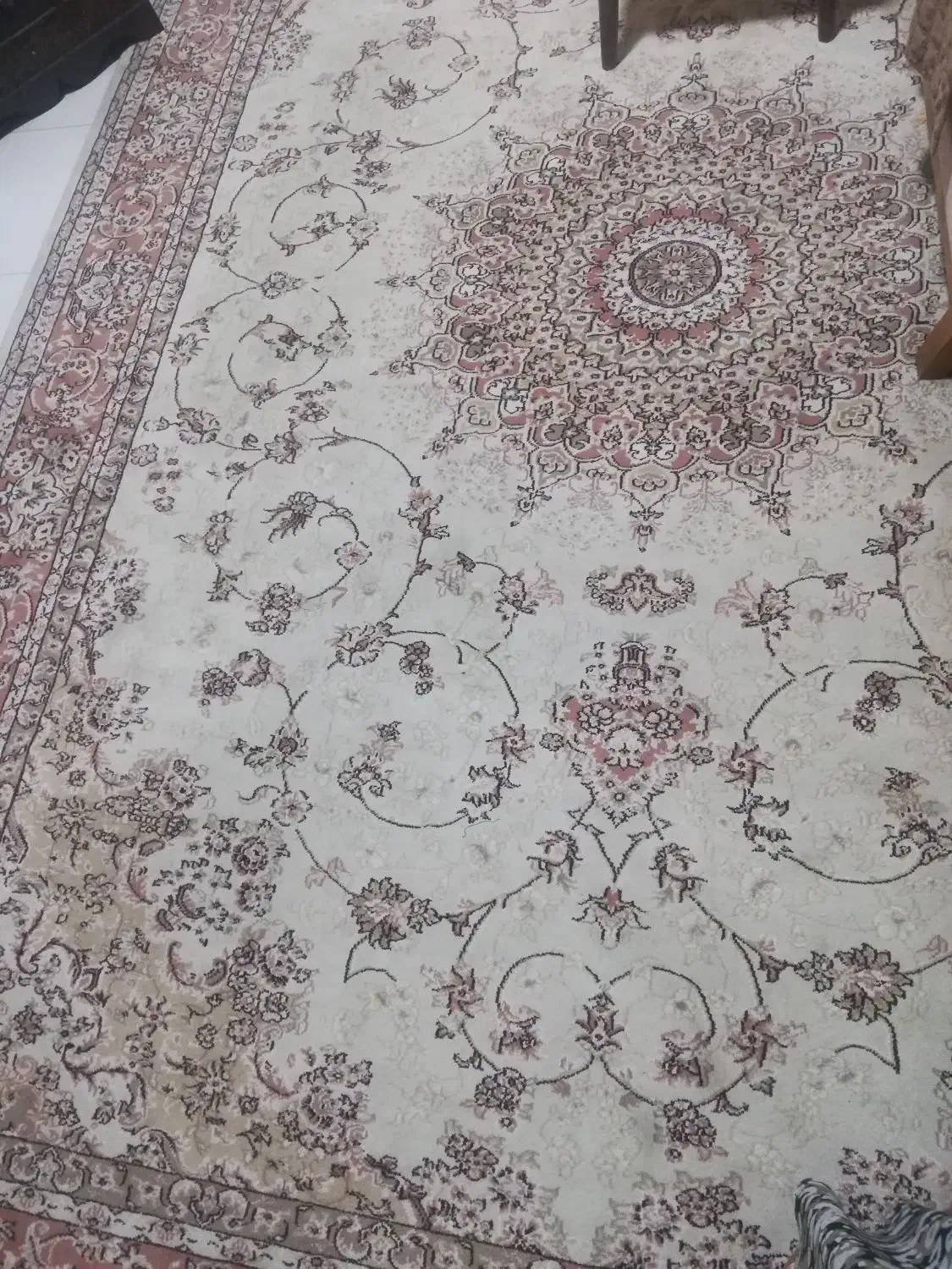 فرش 9متری|فرش|مشهد, بهشت|دیوار