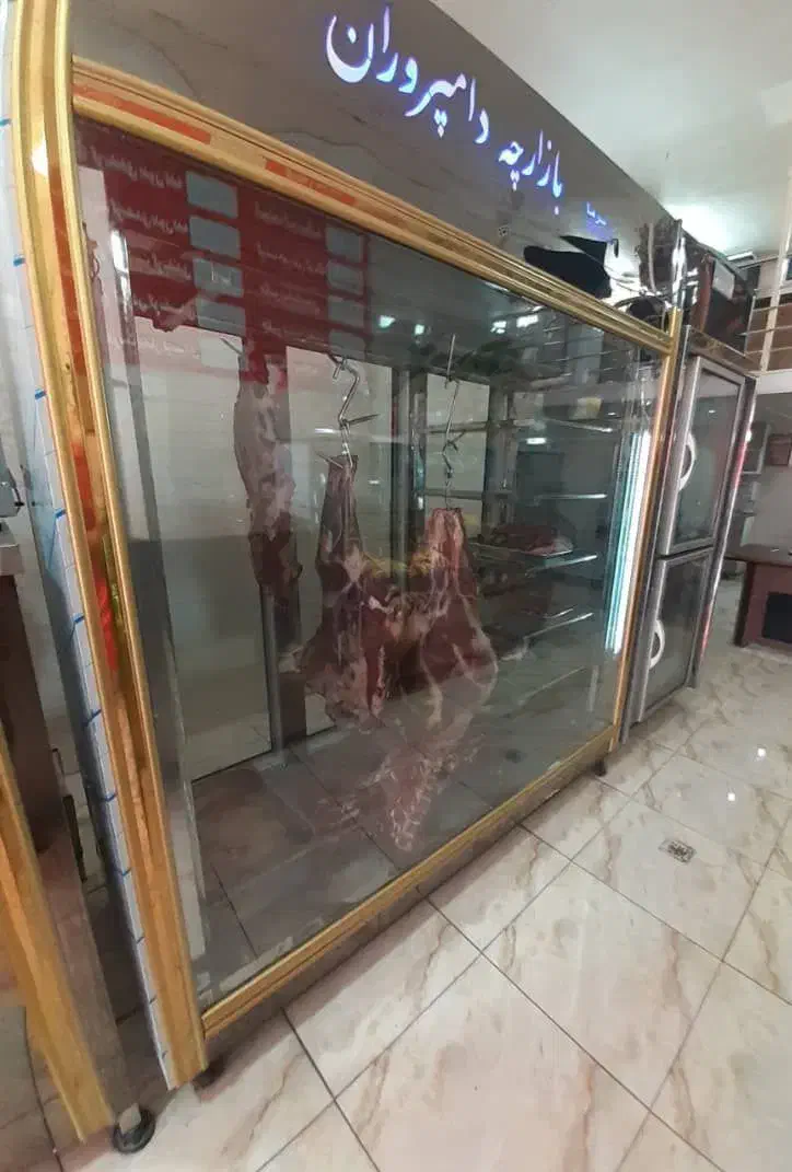 یخچال ایستاده قصابی|فروشگاه و مغازه|بروجرد, |دیوار