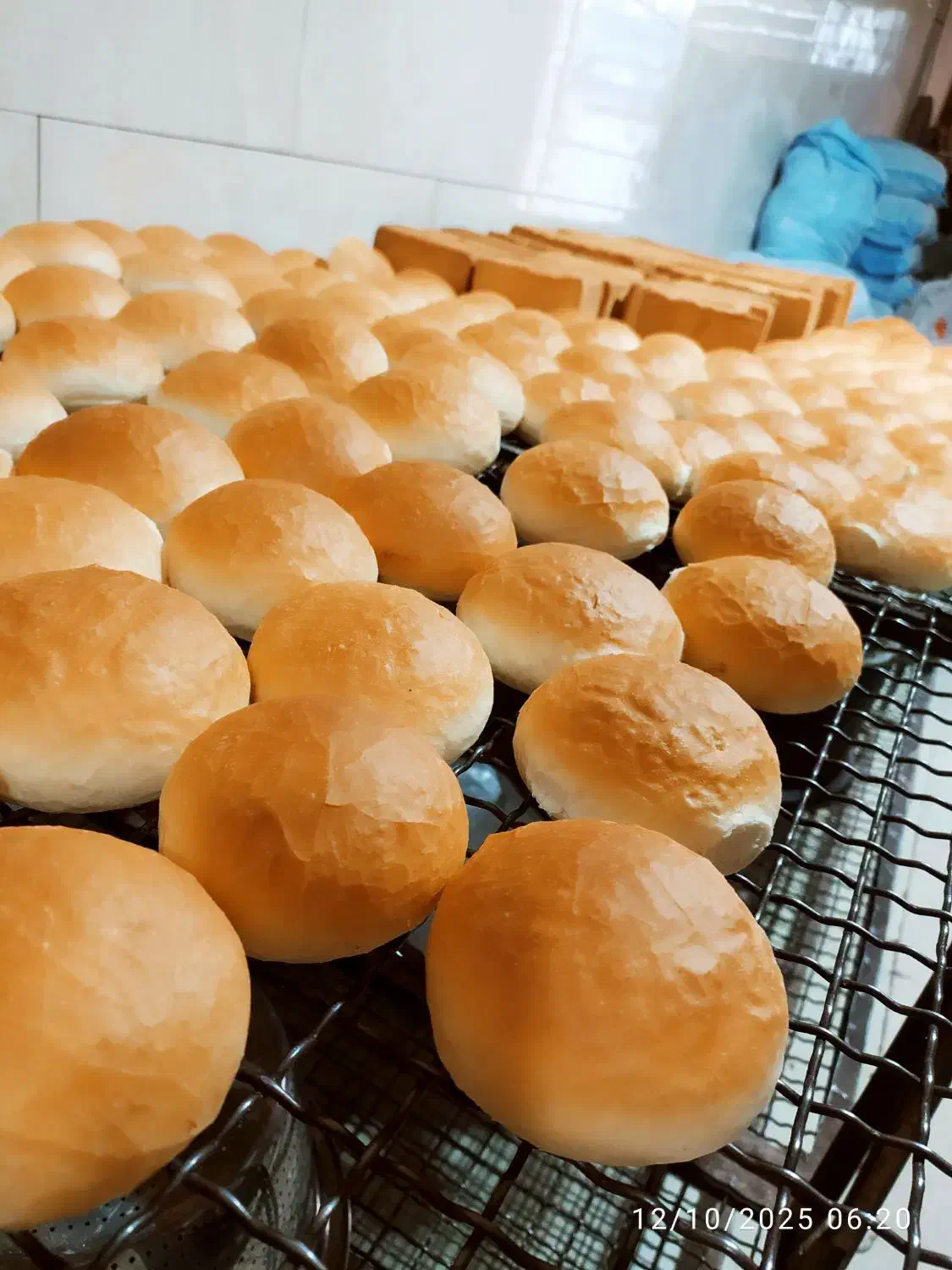 استخدام نیروی کار در نان فانتزی|استخدام خدمات فروشگاه و رستوران|فسا, |دیوار