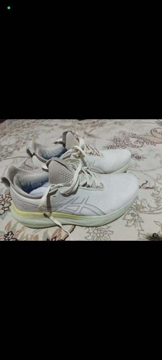 کفش اس ایکس ارجینال|کیف، کفش، کمربند|اصفهان, گرکان|دیوار