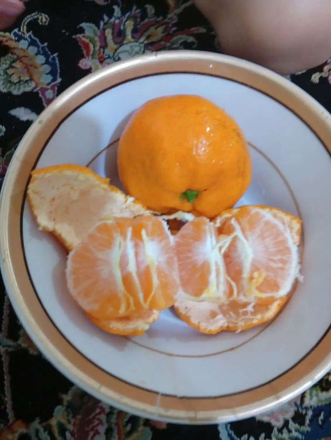 نارنگی شهر شیراز ۰۰۰|حراج|خشت, |دیوار