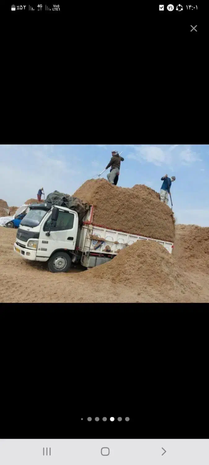 کاه باگاس|لوازم جانبی حیوانات|صومعهسرا, |دیوار