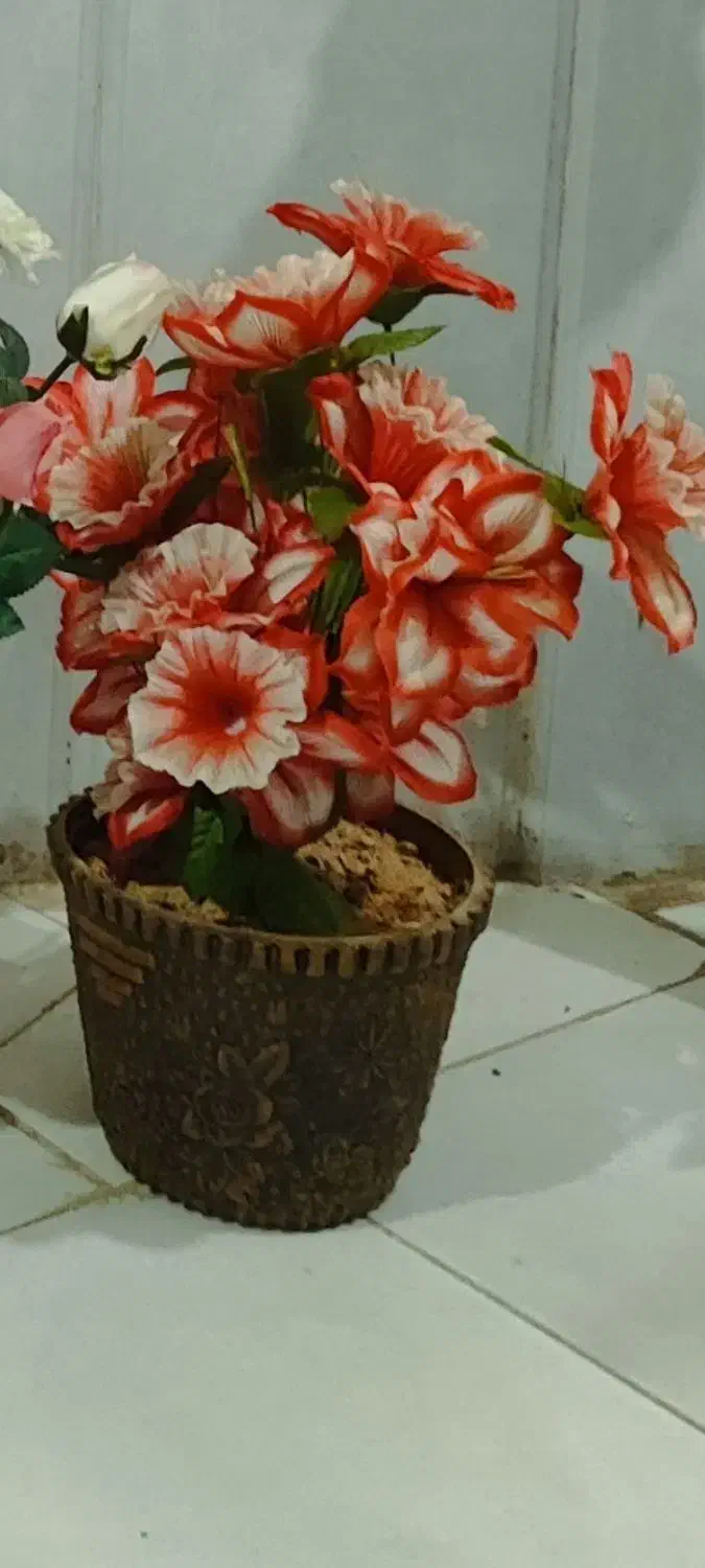 گلدان و شلوار|لباس|بندرعباس, |دیوار