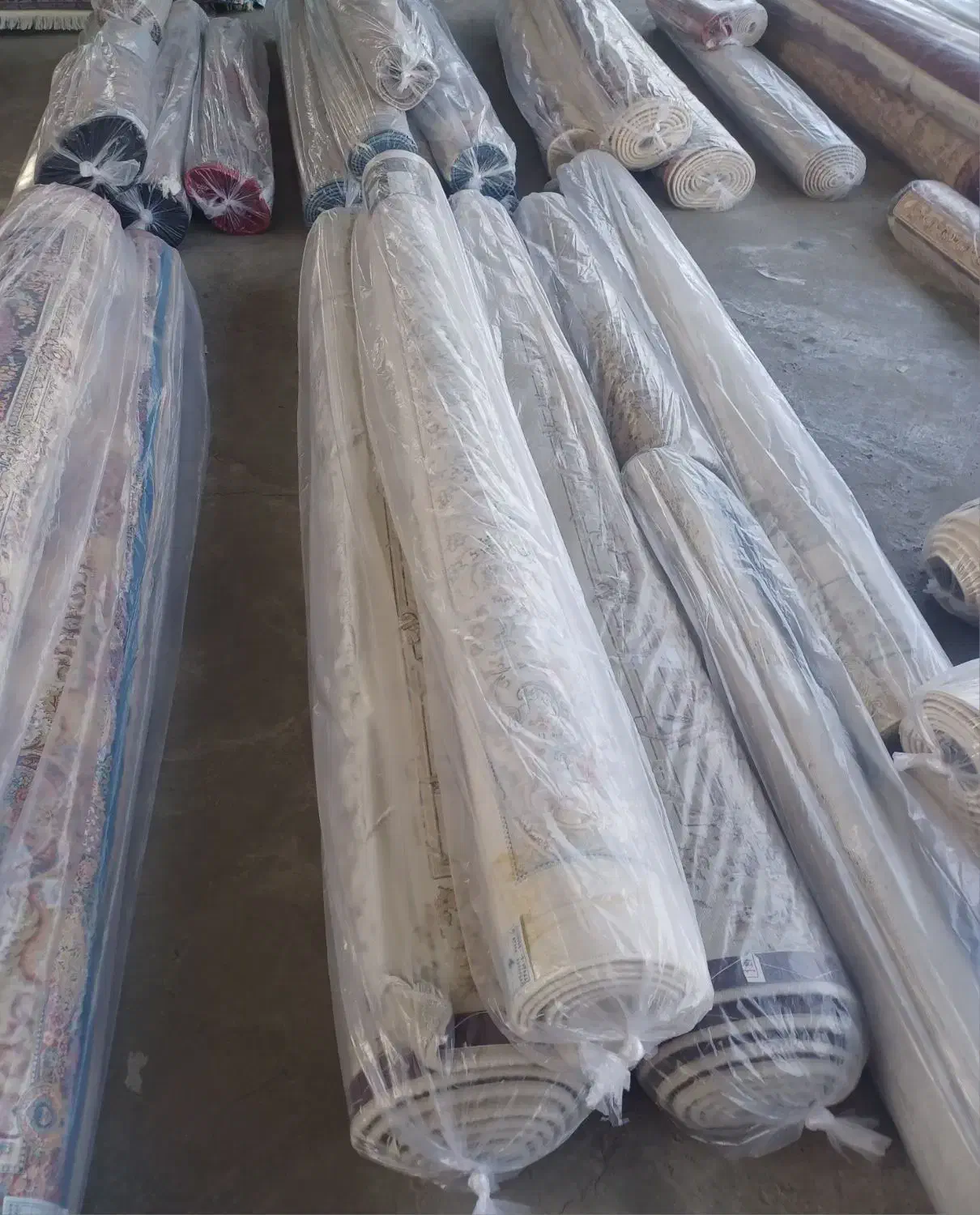 قالیشویی آیدین عضو رسمی اتحادیه قالیشویان کد 231|خدمات نظافت|تهران, نیروی هوایی (پیروزی)|دیوار