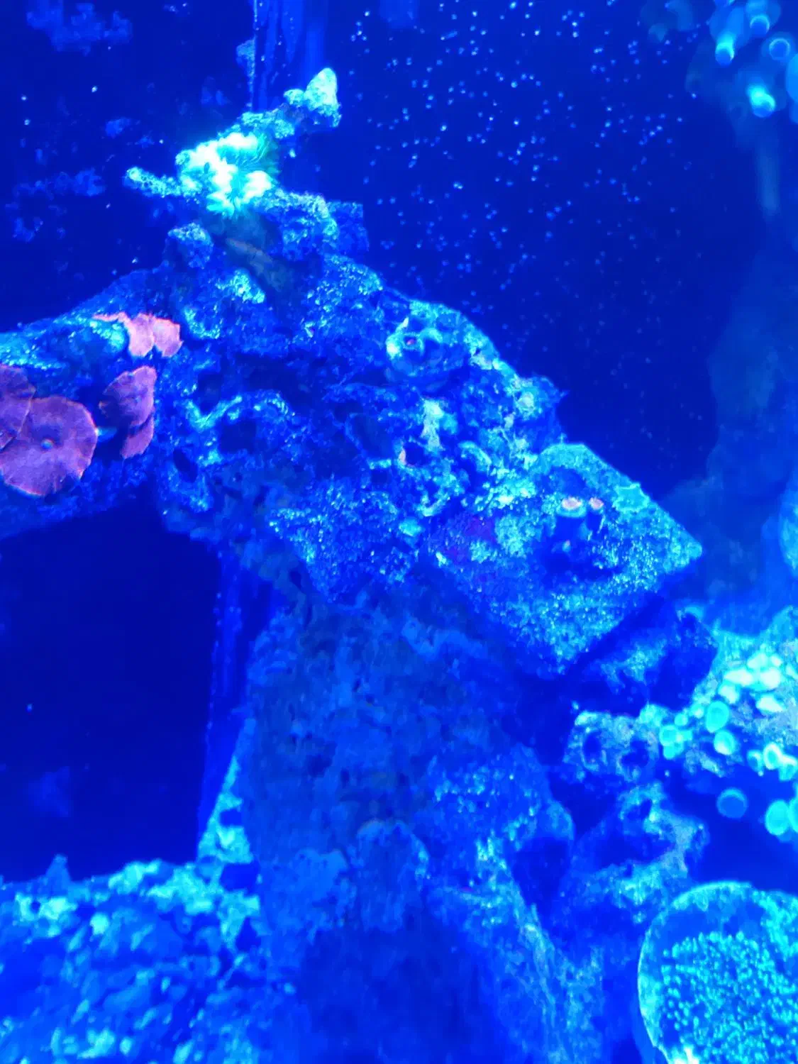 آکواریوم آبشور فروش|ماهی|شهریار, دهشاد بالا|دیوار