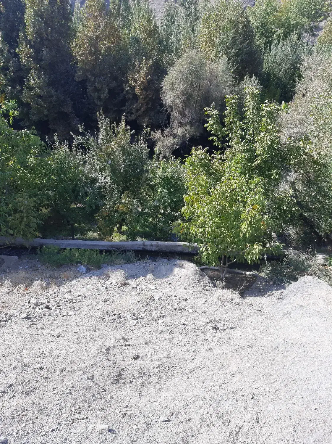 فروش باغ میوه باغبهادران روستای پرکستان|فروش زمین و ملک کلنگی|باغ بهادران, |دیوار