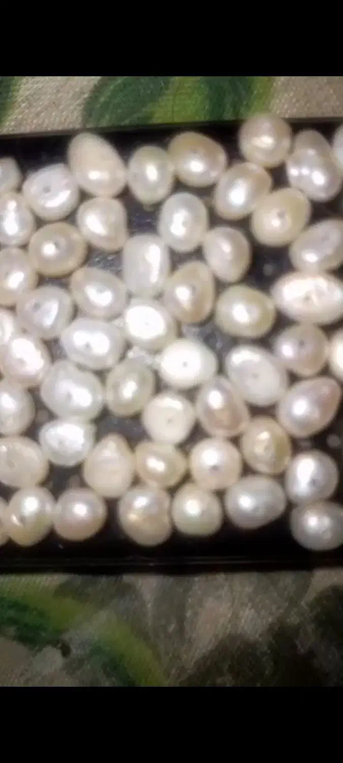 مروارید باروک شناسنامه دار قدیمی|جواهرات|جعفرآباد, |دیوار