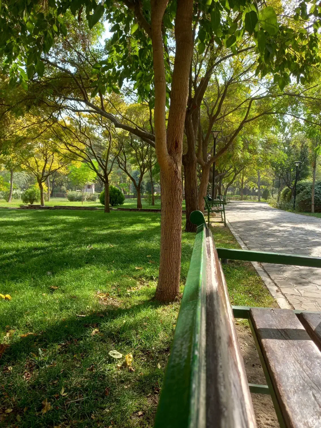 مشاوره مالی|فعالیت داوطلبانه|مشهد, کوثر|دیوار