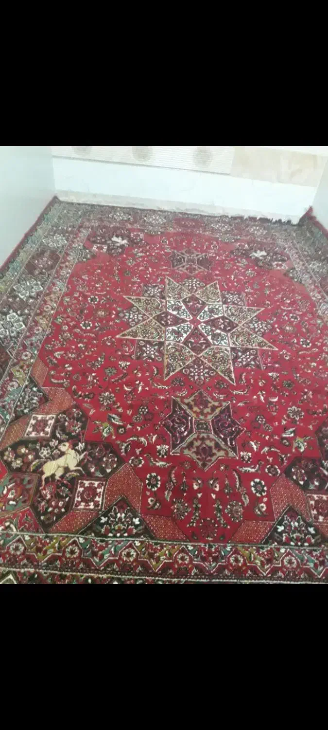 فرش 12 متر|فرش|کاشان, پاقپان|دیوار