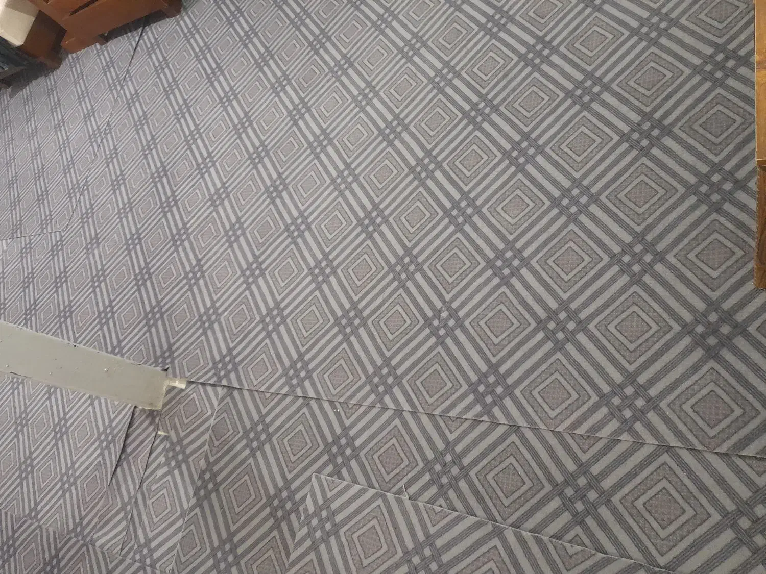 موکت نو ب رنگ طوسی فیلی|موکت|دورود, |دیوار