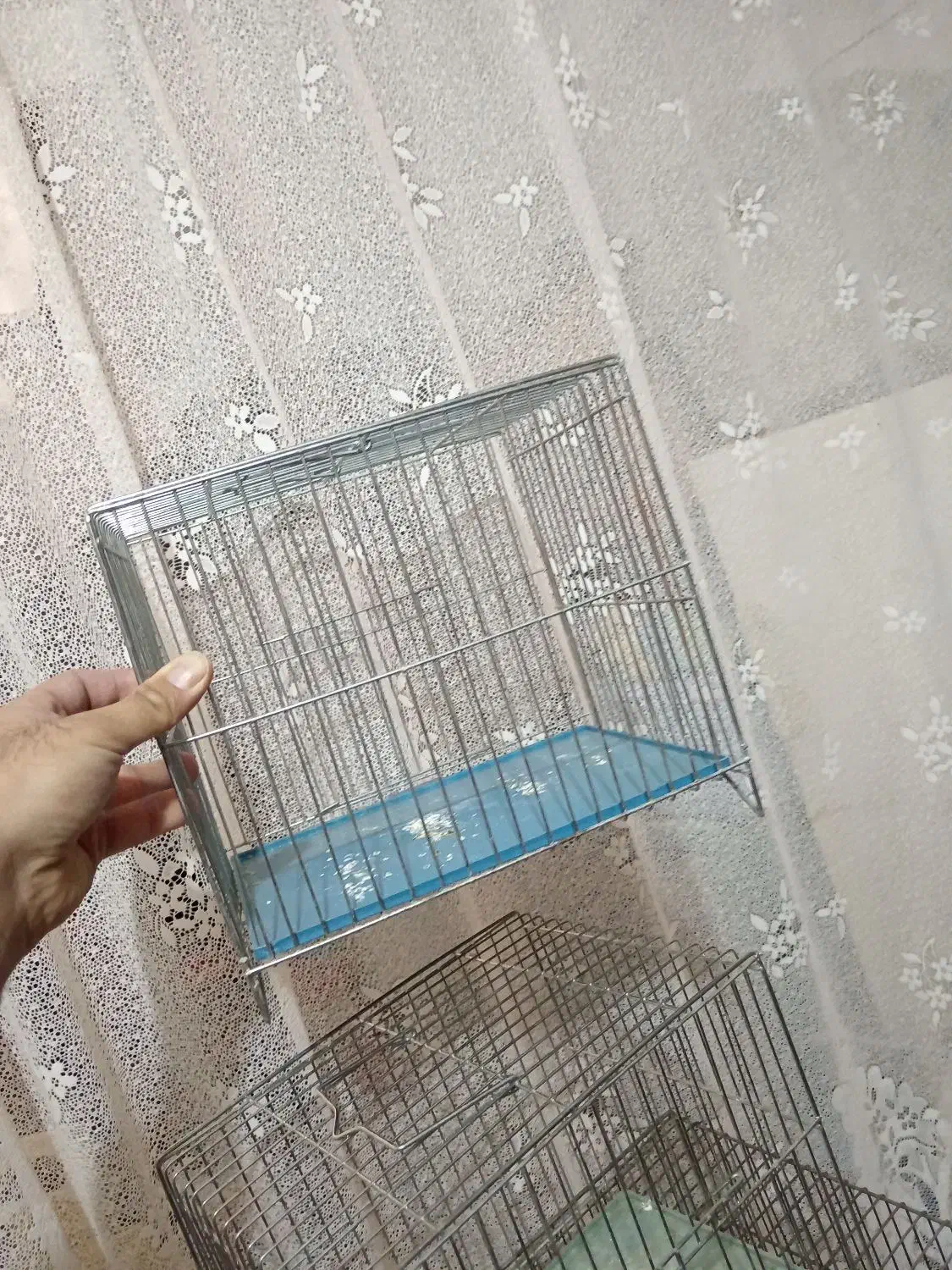 قغس|لوازم جانبی حیوانات|نجف‌آباد, هفده شهریور|دیوار