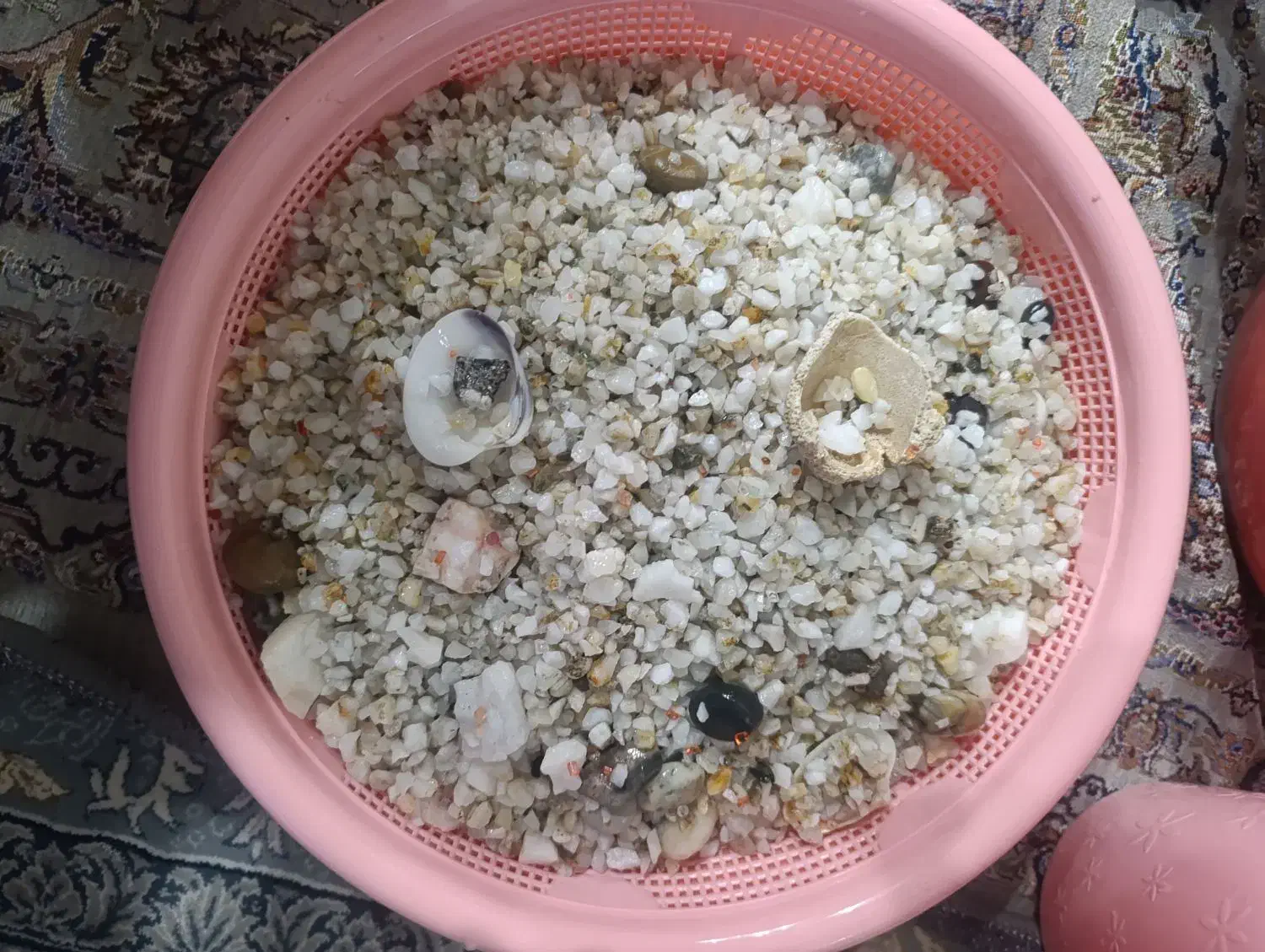 اکواریوبا لوازم سالم|ماهی|خاوران, |دیوار