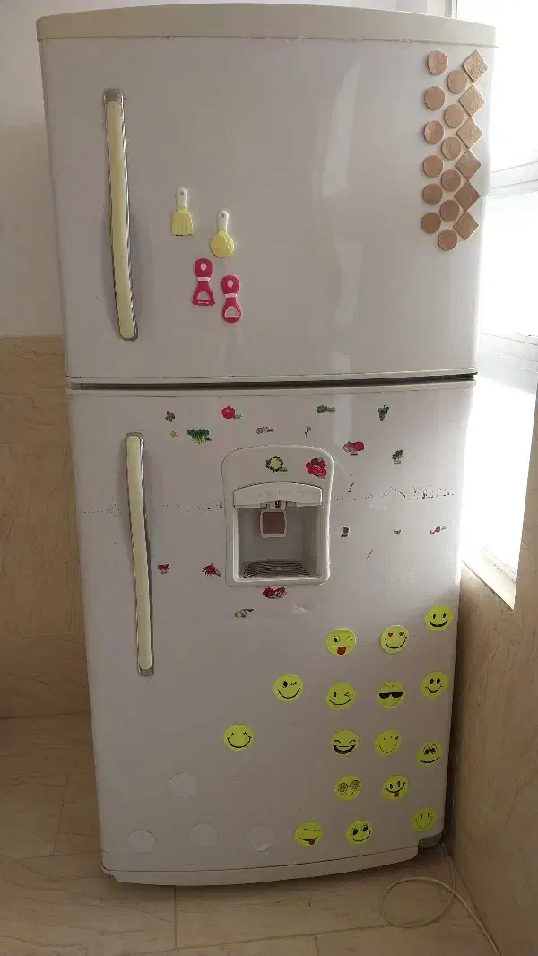 یخچال فریزر|یخچال و فریزر|اشکذر, |دیوار