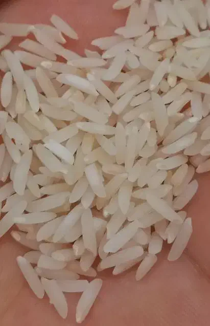 برنج هاشمی و علی کاظمی|خوردنی و آشامیدنی|گوراب زرمیخ, |دیوار