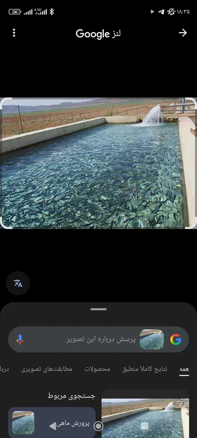 اجاره ۳ هکتار|اجارهٔ دفتر صنعتی، کشاورزی، تجاری|کمیجان, |دیوار