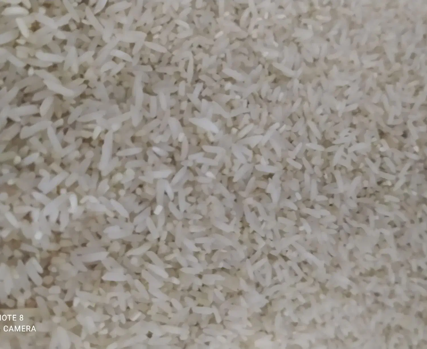 برنج بشرط .خوش عطر بو.|خوردنی و آشامیدنی|گنبد کاووس, |دیوار