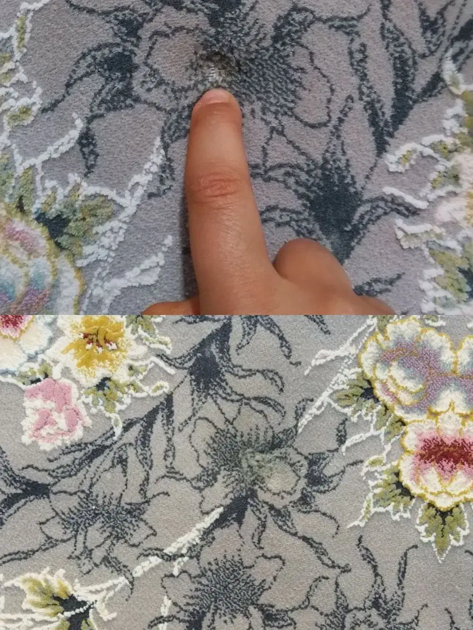 قالیشویی تخصصی جیاواز|خدمات نظافت|سقز, |دیوار