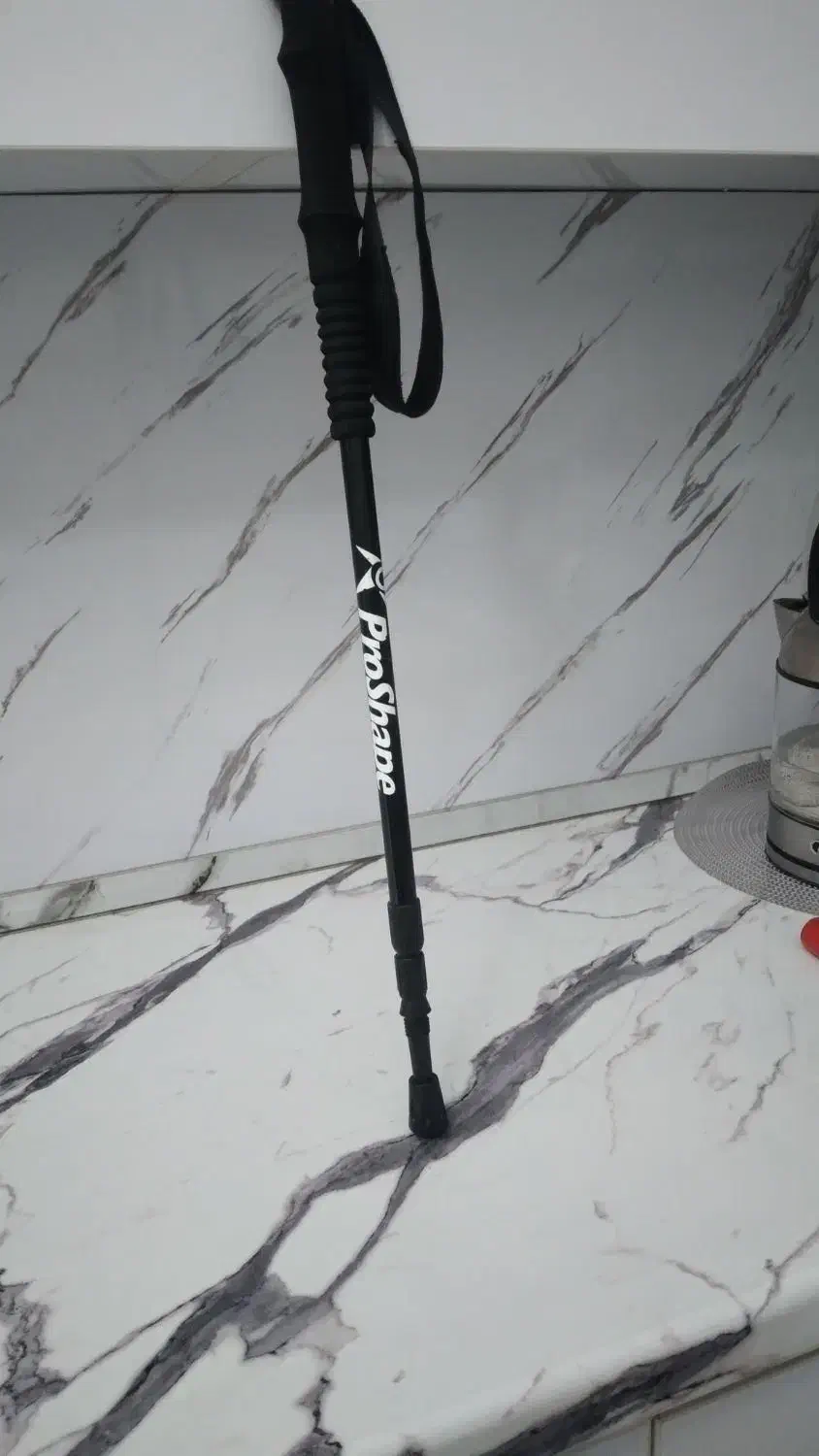 عصا|کوهنوردی و کمپینگ|کرج, حیدرآباد|دیوار