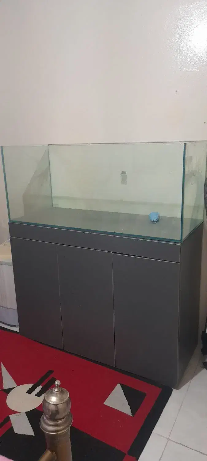 آکواریوم apa|ماهی|محمدشهر, هزار واحدی|دیوار