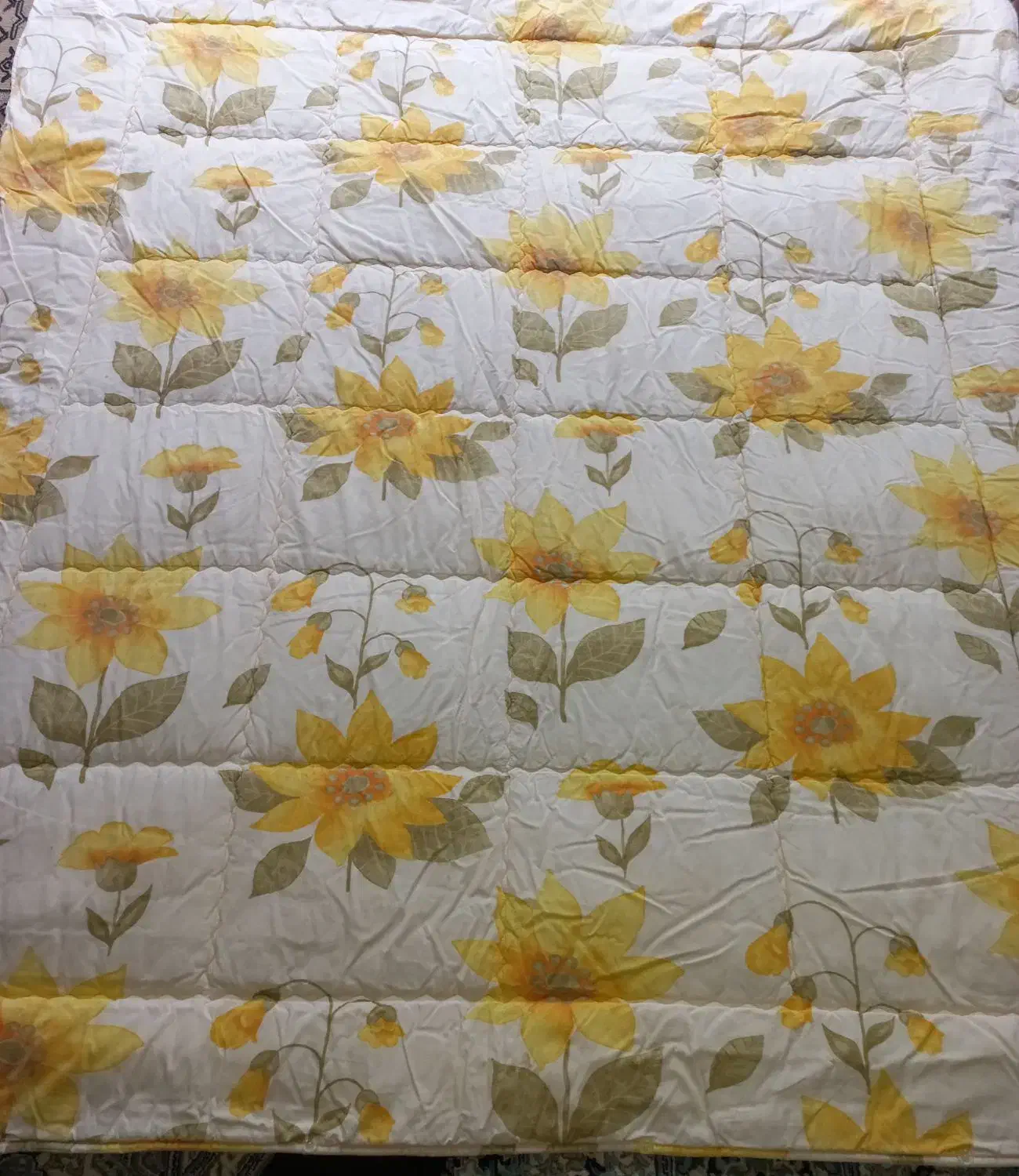 لایکو ی ترک|سرویس روتختی|رشت, عینک|دیوار