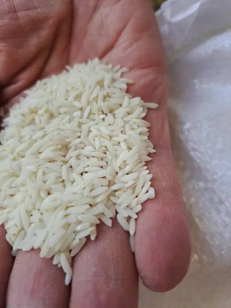 برنج ممان میانه|خوردنی و آشامیدنی|تهران, شهرک آپادانا|دیوار