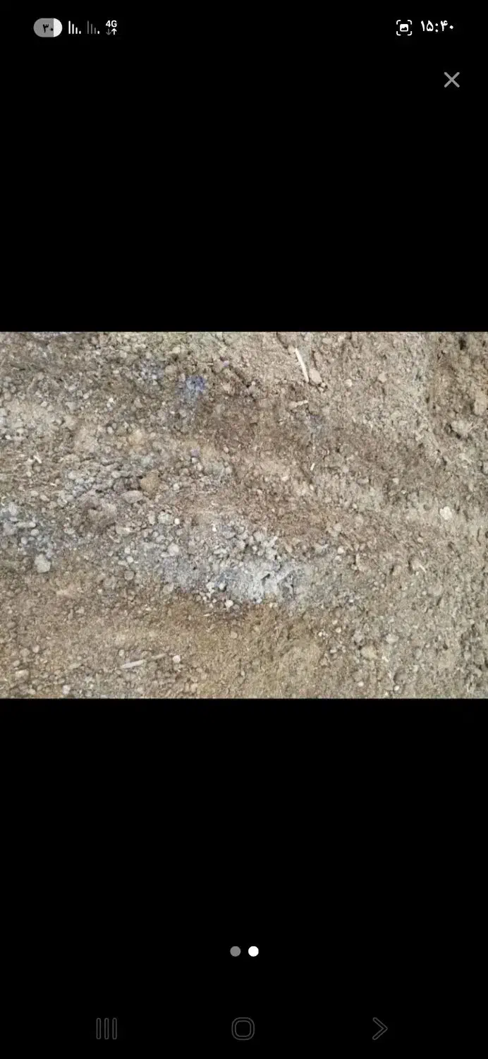 کود گوسفندی خشک|خدمات باغبانی و درختکاری|نور, |دیوار