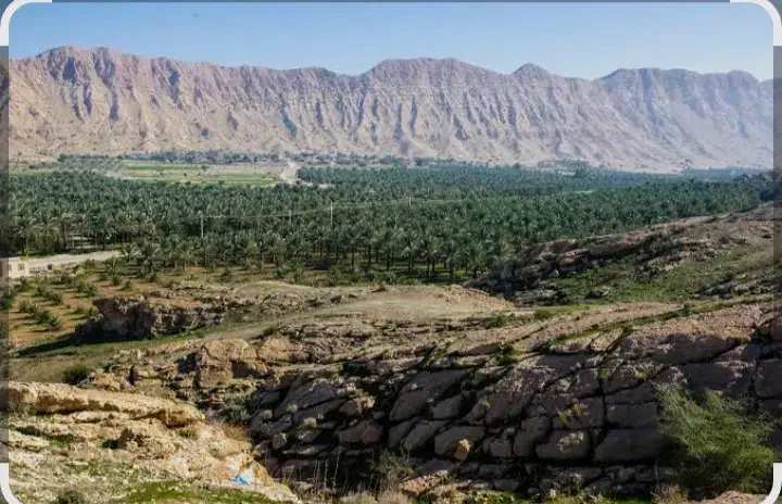 زمین مسکونی|فروش خانه و ویلا|بوشکان, |دیوار