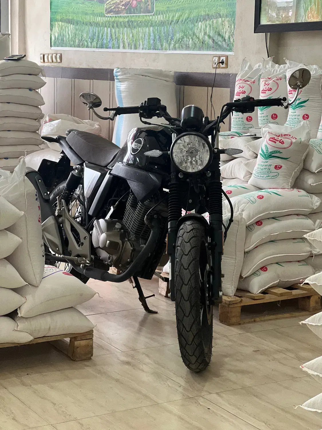 زونتس ۱۴۰۱|موتورسیکلت|لیسار, |دیوار