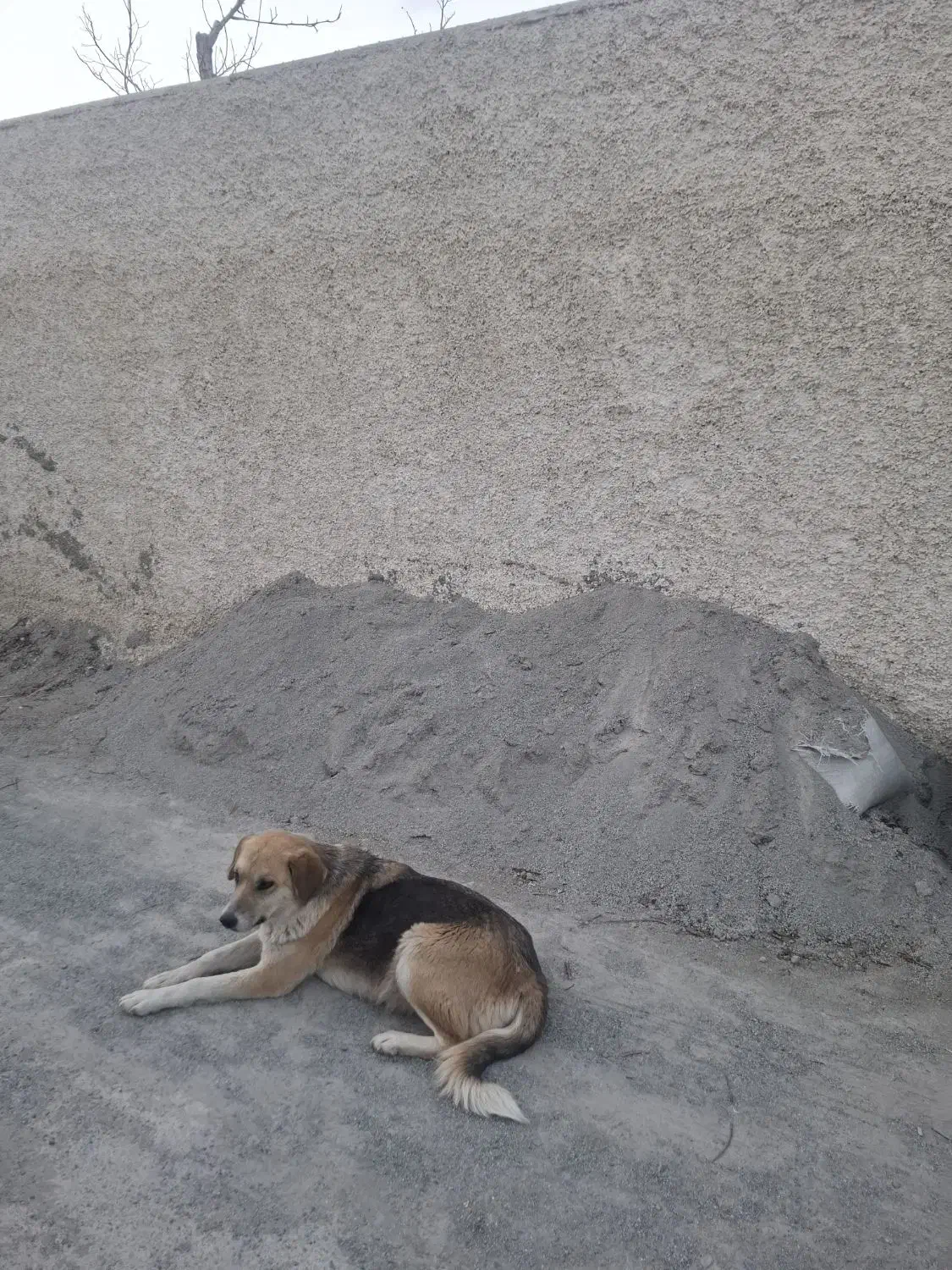 ماسه|مصالح و تجهیزات ساختمان|محمدشهر, محمدشهر|دیوار