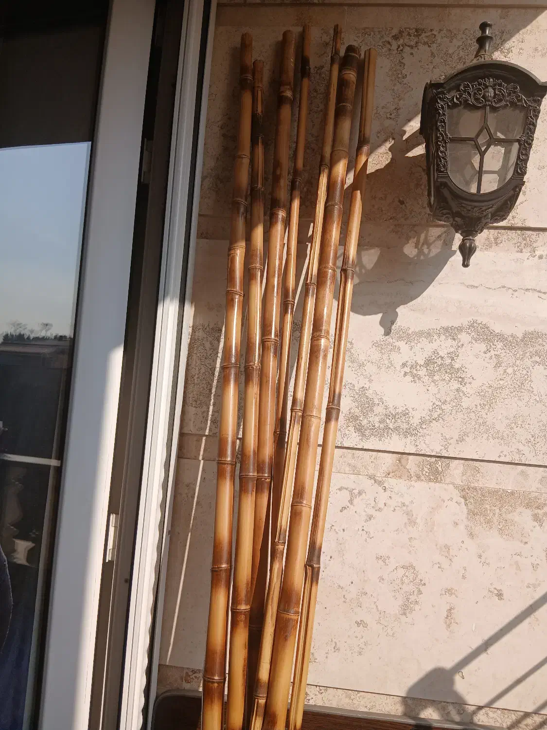 نی بامبو|گل و گیاه طبیعی|رودهن, |دیوار