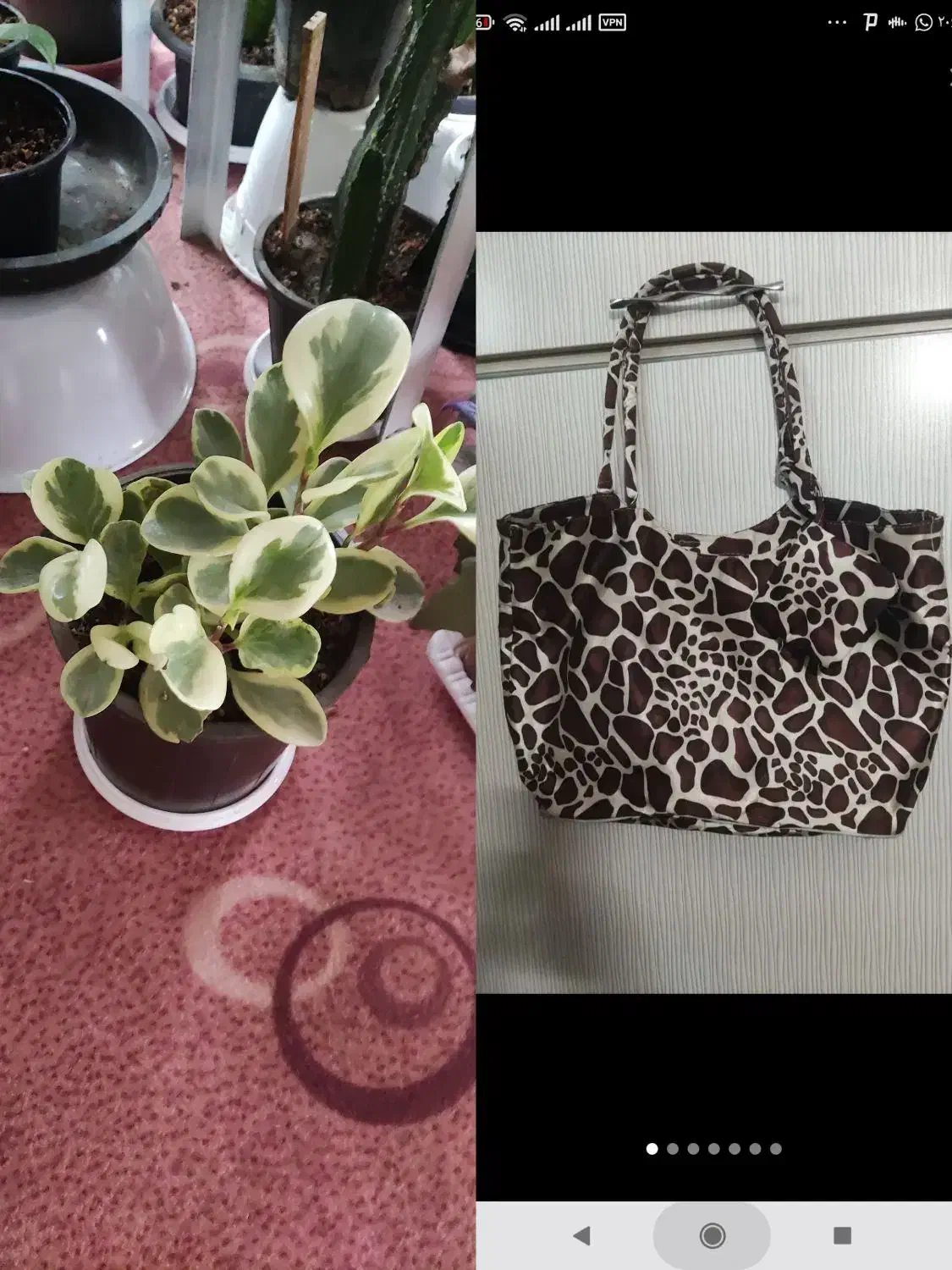 کیف وسایل|کیف، کفش، کمربند|مرند, |دیوار