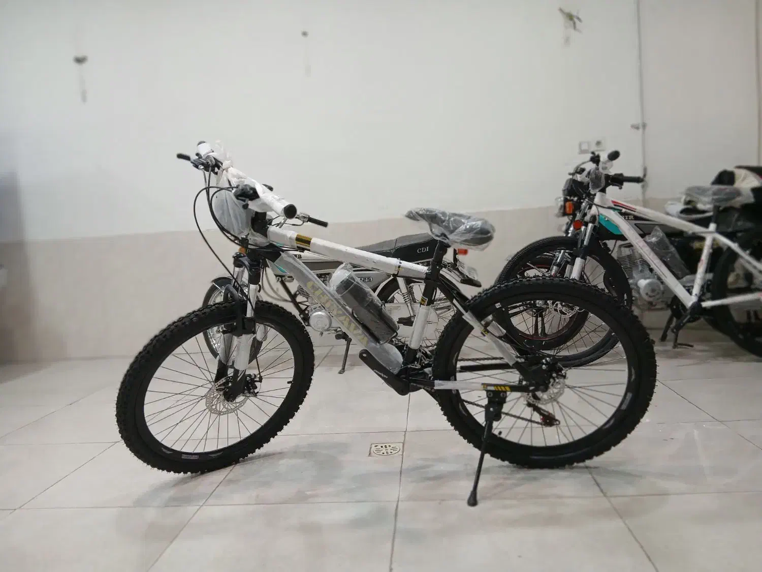 دوچرخه اکو چیاوا|دوچرخه، اسکیت، اسکوتر|بجنورد, |دیوار