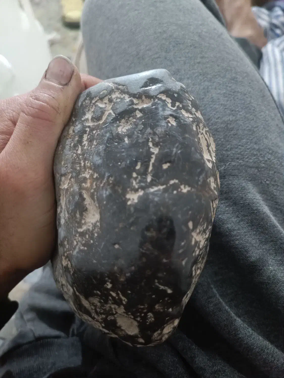 شهاب سنگ|کلکسیون اشیاء عتیقه|کرمان, |دیوار