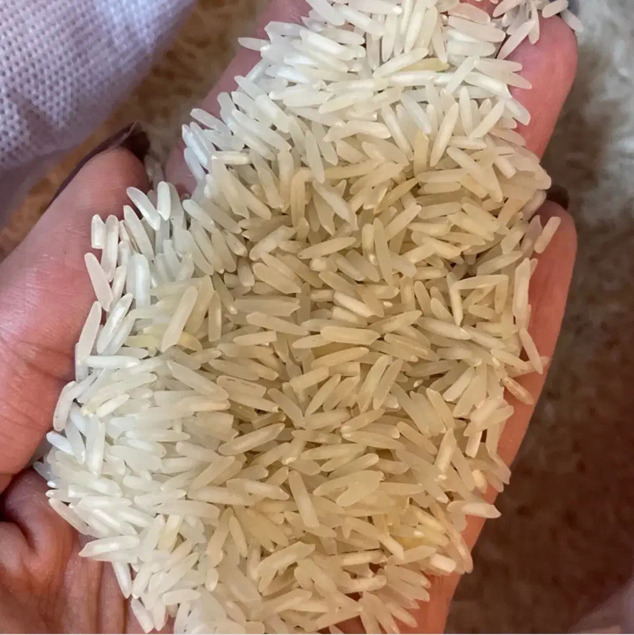 برنج پاکستانی باسماتی غزال|خوردنی و آشامیدنی|تهران, نیکنام|دیوار