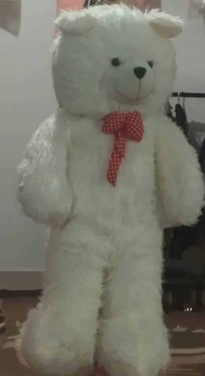 خـرس|اسباببازی بچه|نظرآباد, شهرک سید جمال الدین|دیوار