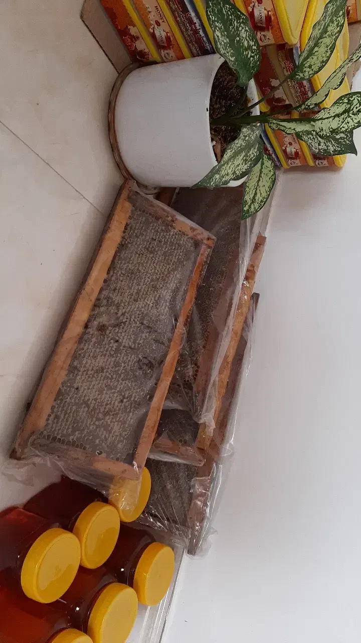 عسل طبیعی سبلان|خوردنی و آشامیدنی|رشت, بوسار|دیوار