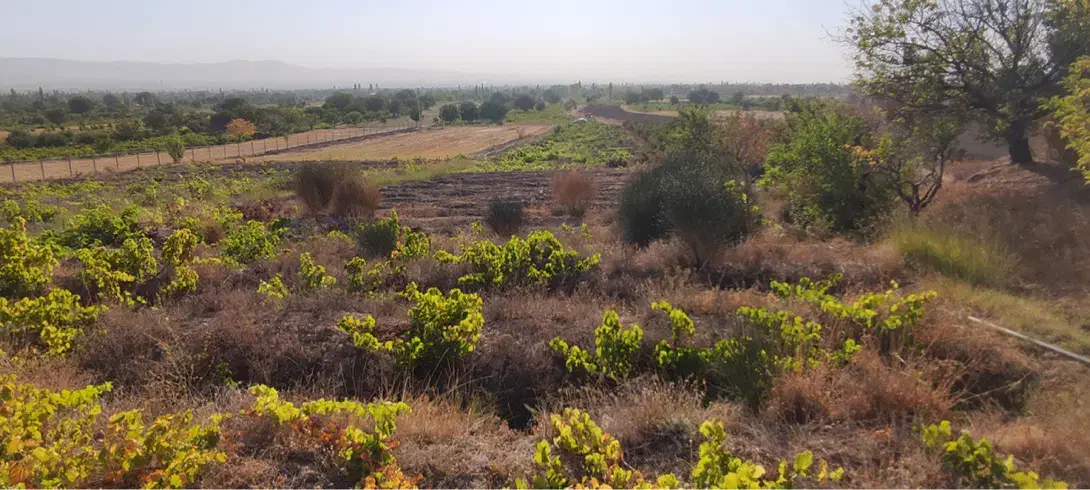 گاوداری شیری ۱۰۰ راسی + ۳/۵ هکتار زمین و باغ|فروش دفتر صنعتی، کشاورزی، تجاری|خرمدره, |دیوار