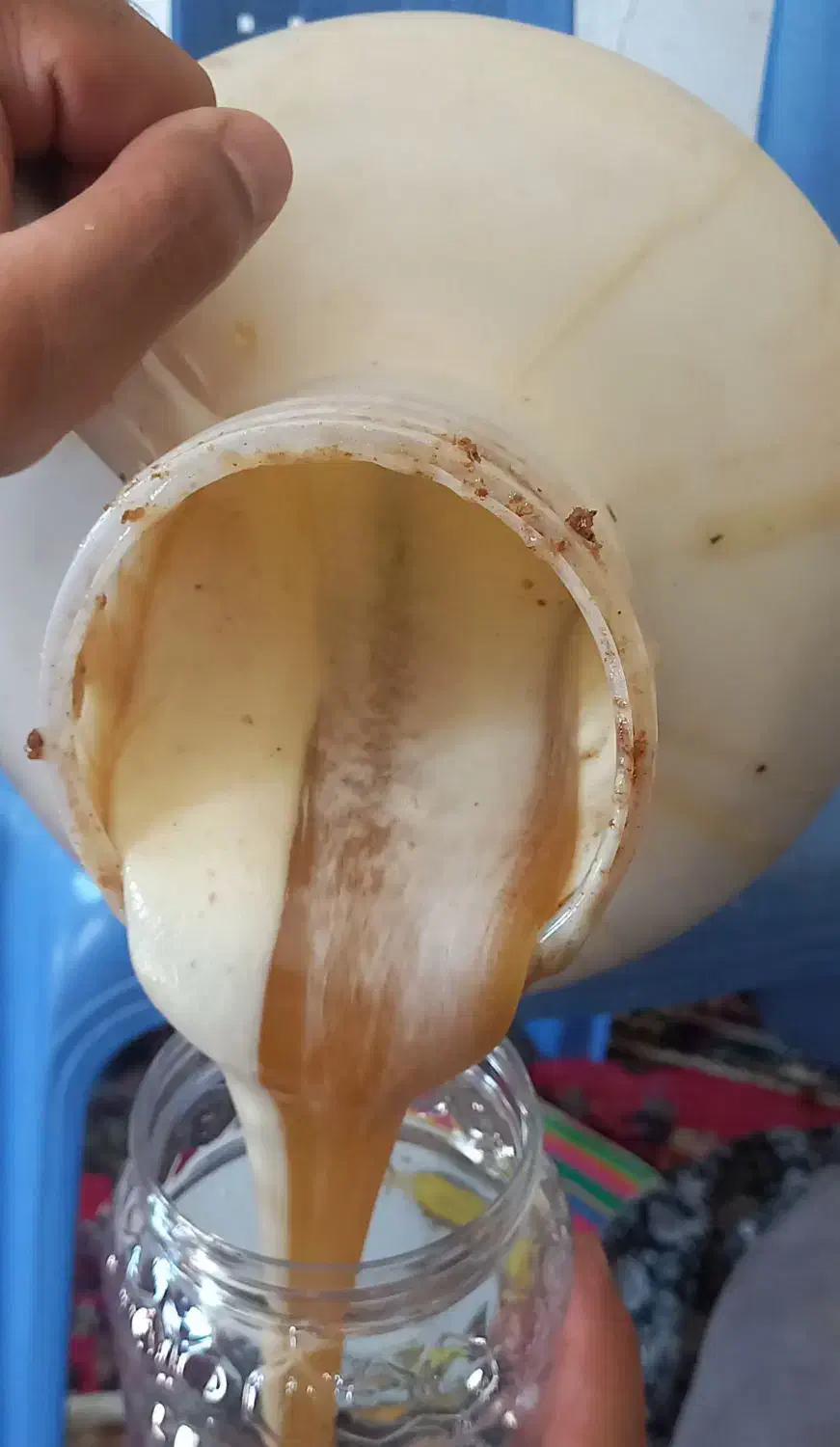 فروش عسل کنار درجه ۱ به شرط آزمایش|عمدهفروشی|میمند, |دیوار