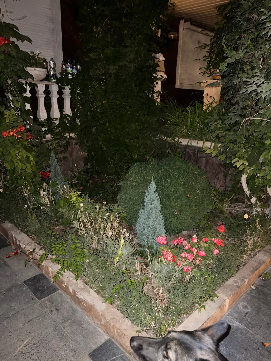 سرایداری|استخدام سرایداری و نظافت|کوهسار (البرز), |دیوار
