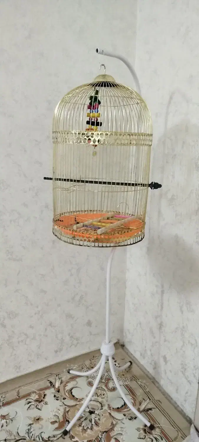 قفس پرنده گرد با پایه|لوازم جانبی حیوانات|مشهد, هنرور|دیوار