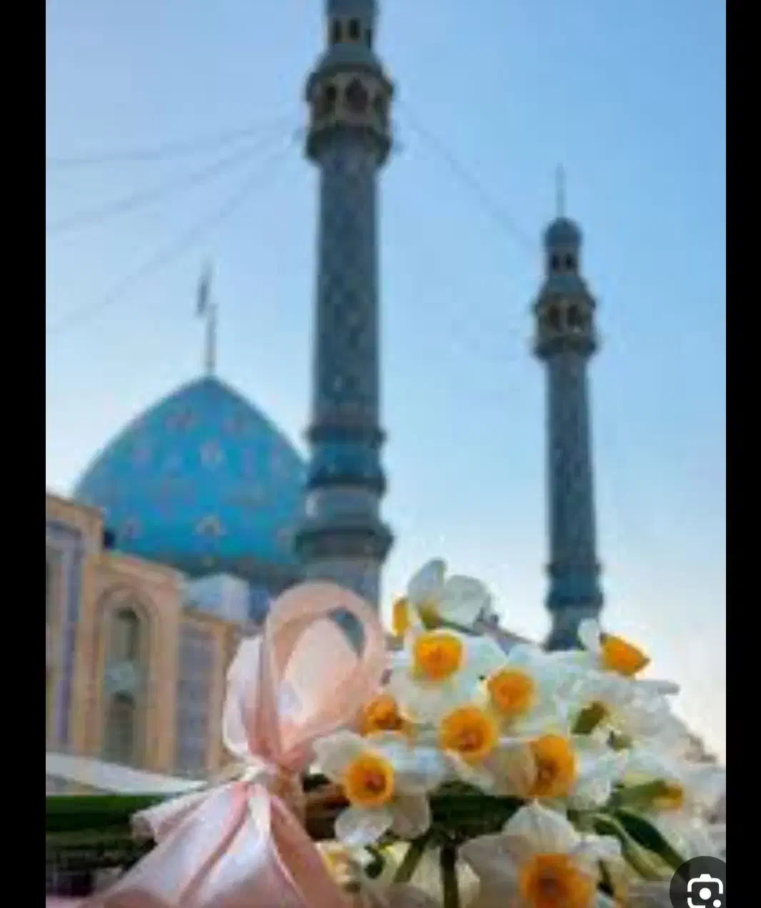 تور قشم|تور و چارتر|مشهد, حضرت حجت|دیوار