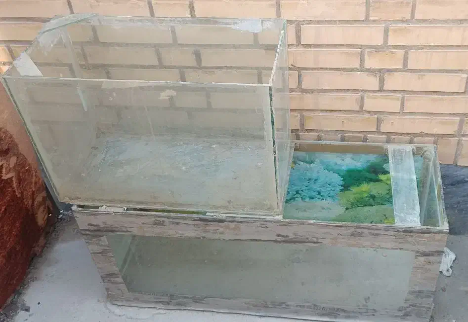 اکواریوم|ماهی|بندر امام خمینی, |دیوار