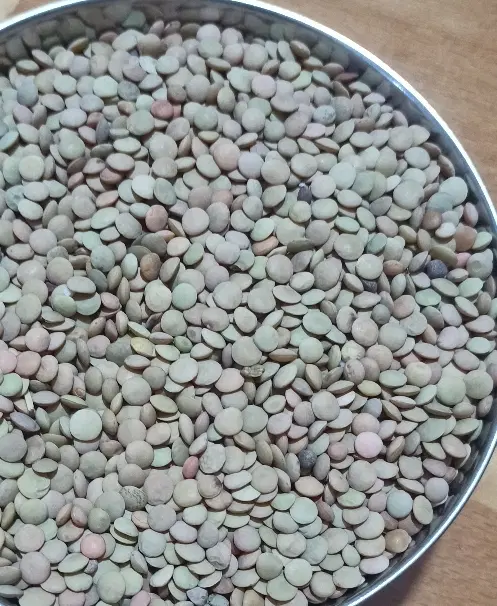 عدس|خوردنی و آشامیدنی|شباب, |دیوار
